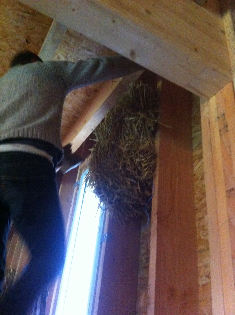 Chantier paille à Lombron 