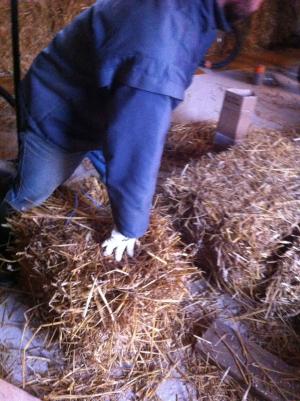 Chantier paille à Lombron 