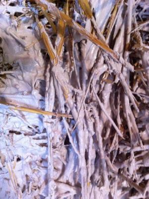 Chantier paille à Lombron 