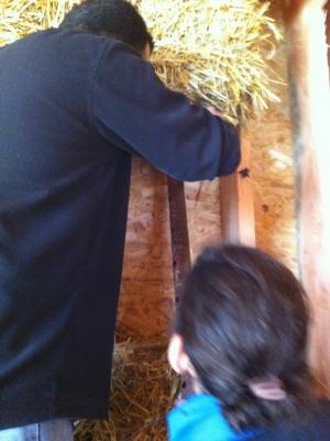 Chantier paille à Lombron 